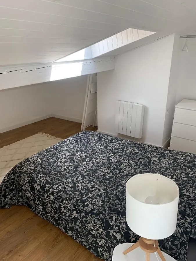 Lovely 3 Rooms In The Center Of Toulouse Apartment